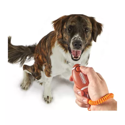 Product Smarty Pooch Training Clickers from Brightkins