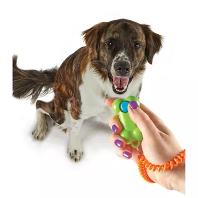 Product Brightkins Smarty Pooch Bone Training Clicker