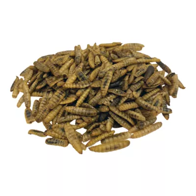 Product Garden Chic Super Fly Grubs 16 oz