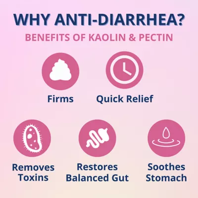 Product Under The Weather's Anti-diarrhea liquid for Dogs