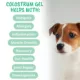 Product Under The Weather's Vital Colostrum for Dog