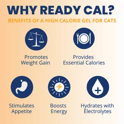Product Under The Weather's Ready Cal Plus Electrolytes 3.5 Oz.