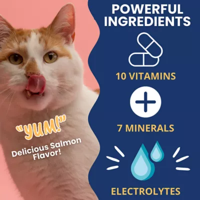 Product Under The Weather's Ready Cal Plus Electrolytes 3.5 Oz.