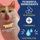 Product Under The Weather's Ready Cal Plus Electrolytes 3.5 Oz.