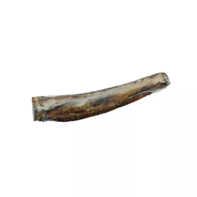 Product Chew Time 12" Beef Rib Bone