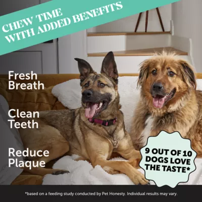 Product Pet Honesty Oral Hygiene Fresh Sticks for Dogs, Mint Flavored - 15 oz, 16 Count