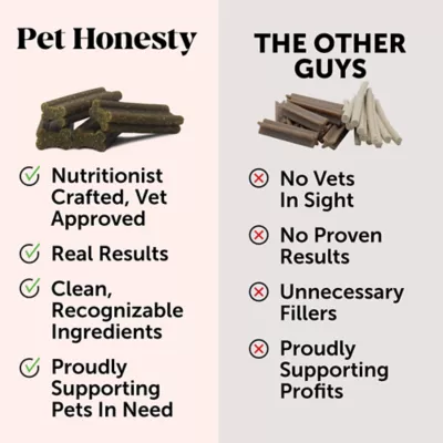 Product Pet Honesty Oral Hygiene Fresh Sticks for Dogs, Mint Flavored - 15 oz, 16 Count