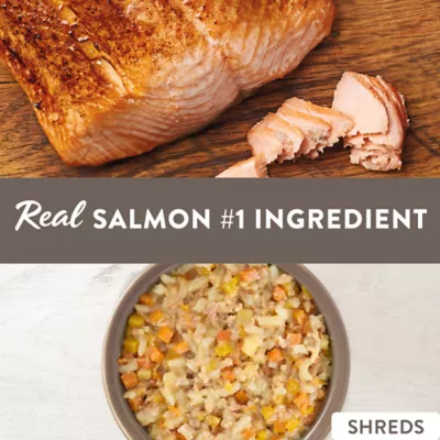 Product Simply Nourish Adult Wet Dog Food - Salmon, Chicken & Rice Stew, 10 oz