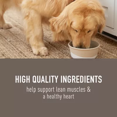 Product Simply Nourish Adult Wet Dog Food - Chicken & Vegetable in Broth, 10 oz