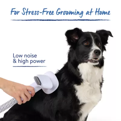 Product Top Paw® At-Home Pet Grooming Kit