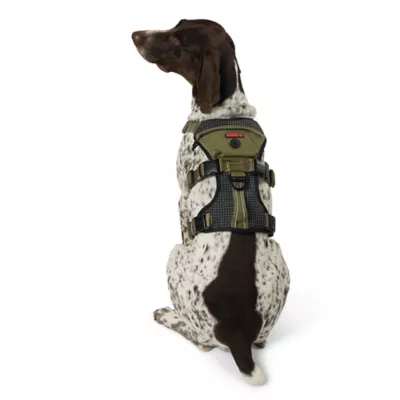 Product Kong® Safety Dog Harness
