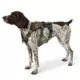 Product Kong® Safety Dog Harness