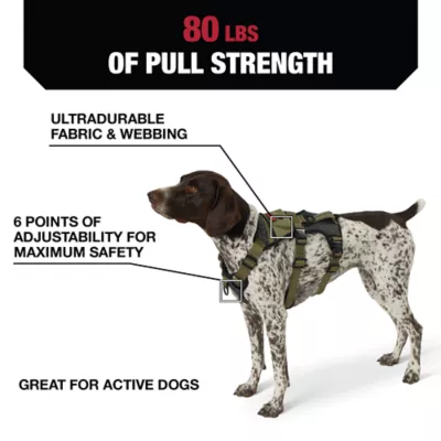 Product Kong® Safety Dog Harness