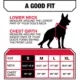 Product Kong® Safety Dog Harness