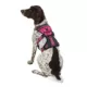 Product Kong® Safety Dog Harness