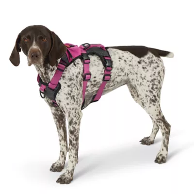 Product Kong® Safety Dog Harness