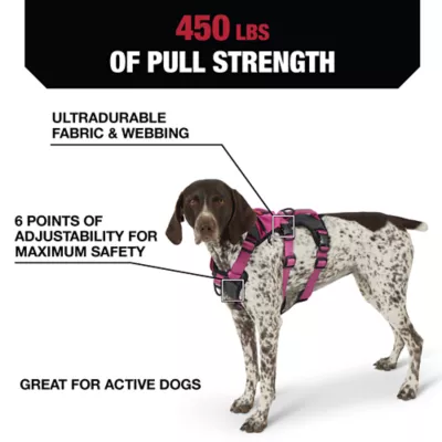 Product Kong® Safety Dog Harness