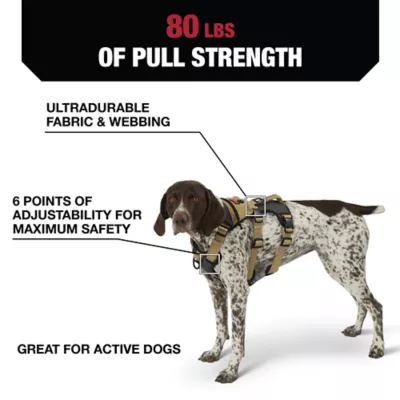 Product Kong® Safety Dog Harness