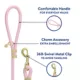 Product Top Paw® Fashion Dog Lead 4 Ft