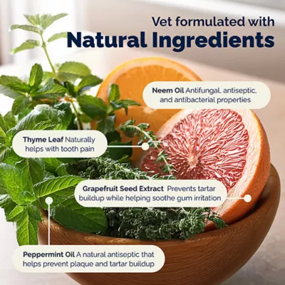 Product Vetnique Labs Dentablis™ Daily Dental Finger Mitts for Dogs and Cats, 50 counts