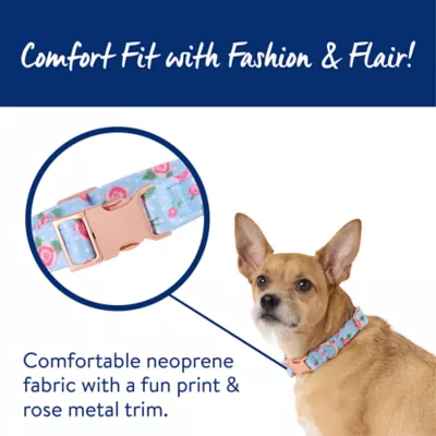 Product Top Paw® Blue Rose Dog Collar