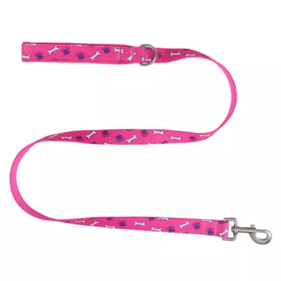 Product Top Paw® Bones Fashion Dog Leash, 4 ft
