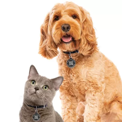 Product PawscoutQR Black Pet Tag