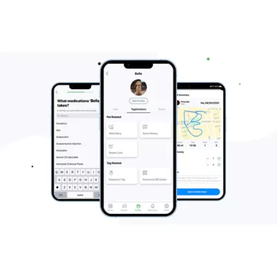 Product PawscoutQR Black Pet Tag