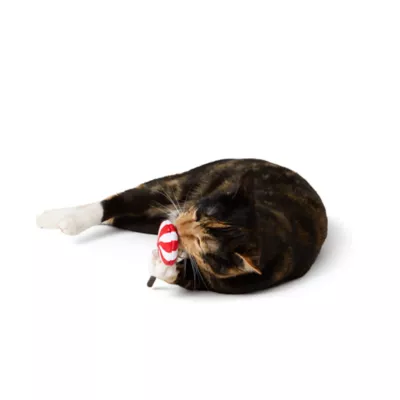 Product Whisker City® Catnip Lollipop Cat Toy