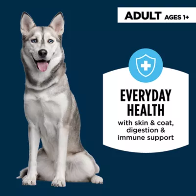 Product Authority Chicken & Carrot Entree Adult Dog Wet Food - Grain Free, 5.5 oz
