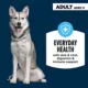 Product Authority Chicken & Carrot Entree Adult Dog Wet Food - Grain Free, 5.5 oz