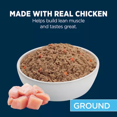 Product Authority Chicken & Carrot Entree Adult Dog Wet Food - Grain Free, 5.5 oz