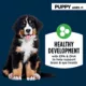 Product Authority Chicken & Carrot Entree Puppy Wet Dog Food - Grain Free, 5.5 oz