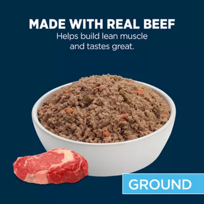 Product Authority Beef & Vegetable Entree Adult Dog Wet Food - Grain Free, 5.5 oz