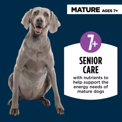 Product Authority Chicken & Vegetable Entree Senior 7+ Wet Dog Food - Grain Free, 5.5 oz