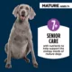 Product Authority Chicken & Vegetable Entree Senior 7+ Wet Dog Food - Grain Free, 5.5 oz
