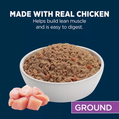 Product Authority Chicken & Vegetable Entree Senior 7+ Wet Dog Food - Grain Free, 5.5 oz