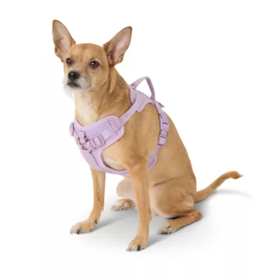 Product Top Paw® Neoprene Comfort Dog Harness