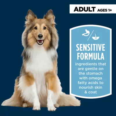 Product Authority Sensitive Stomach & Skin Adult Dry Dog Food - Chicken & Rice