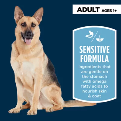 Product Authority Sensitive Stomach & Skin Cuts in Gravy Adult Wet Dog Food - Lamb, 13 oz