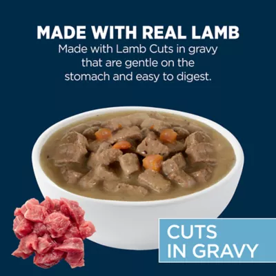 Product Authority Sensitive Stomach & Skin Cuts in Gravy Adult Wet Dog Food - Lamb, 13 oz