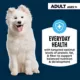 Product Authority Everyday Health Tender Blends Adult Dry Dog Food - Chicken & Rice