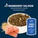 Product Authority Everyday Health Tender Blends Adult Dry Dog Food - Salmon & Rice