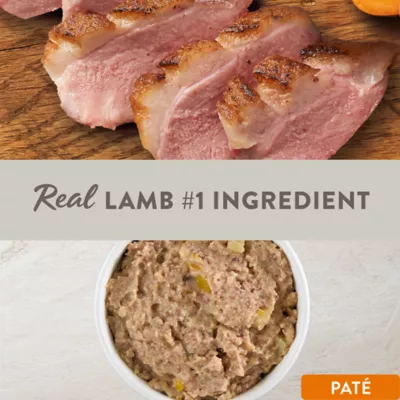 Product Simply Nourish Limited Ingredient Diet Adult Wet Dog Food - Lamb & Sweet Potato in Broth, 10 oz