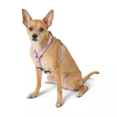 Product Top Paw® Basic Nylon Dog Harness