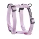 Product Top Paw® Basic Nylon Dog Harness