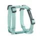 Product Top Paw® Basic Nylon Dog Harness