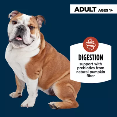 Product Authority Digestive Support Puree Adult Dog Meal Topper - Pumpkin & Oatmeal, 3 oz