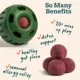 Product WOOF Allergy & Immunity Pupsicle Pops Refill for Dogs 7 Count