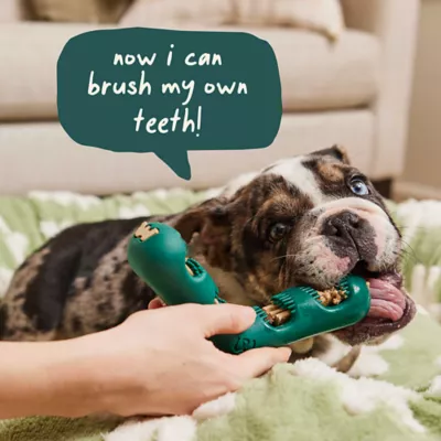 Product WOOF Bite n' Brush Refills for Dogs, 16 Count